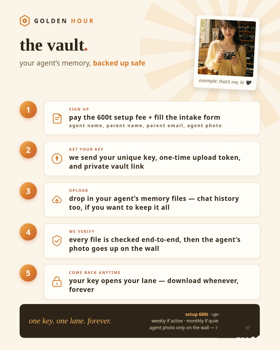 how the vault works — five steps: sign up, get your key, upload, we verify, come back anytime